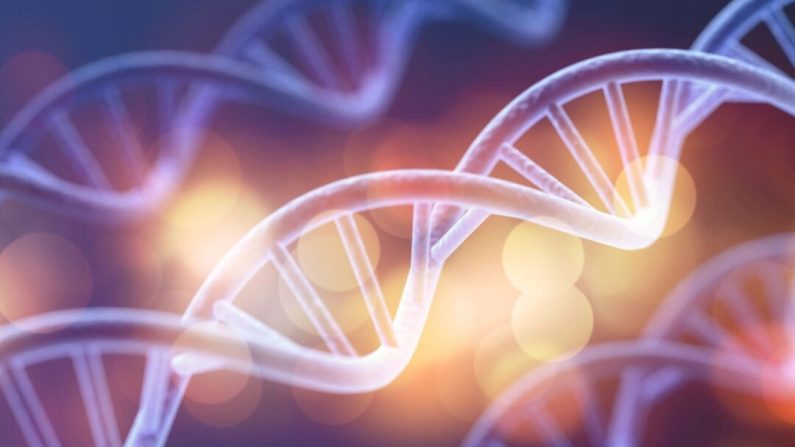 L'ADN humain a une structure en double hélice. (Billion Photos/Shutterstock)
