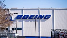 « L’avion va se désintégrer au niveau des articulations » : Un lanceur d’alerte chez Boeing met en garde contre l’intégrité du 787