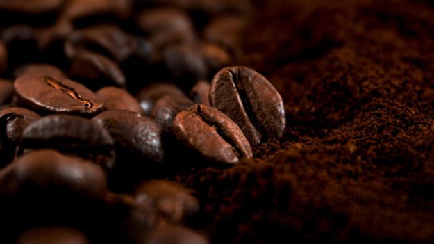 Un composé du café pourrait aider à contrer la perte musculaire liée à l’âge