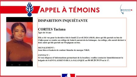 Pyrénées-Orientales: Taciana, 16 ans, est introuvable depuis plusieurs jours