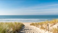 Gironde: piégé par une baïne, un homme de 41 ans se noie aux abords de la plage de Lège-Cap-Ferret