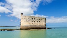 Fort Boyard: «menacé de destruction», le célèbre monument va être restauré