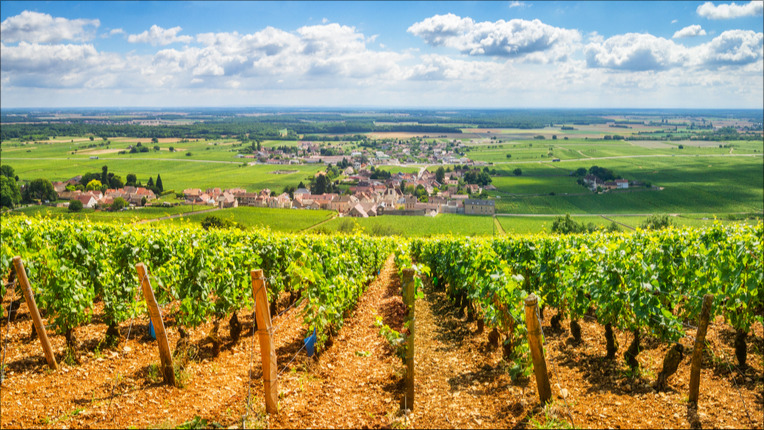La situation est satisfaisante dans la plupart des régions françaises. (Photo: tichr/Shutterstock)