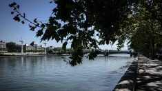 Lyon : la baignade dans le Rhône expérimentée en juin pour lutter contre les canicules