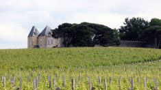 La justice confisque neuf châteaux viticoles du Bordelais propriété d’un magnat chinois