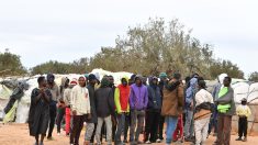 Tunisie : des centaines de manifestants réclament « le départ » des migrants d’Afrique subsaharienne