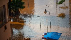 Inondations au Brésil : 70 000 personnes chassées de leur domicile et une soixantaine de morts