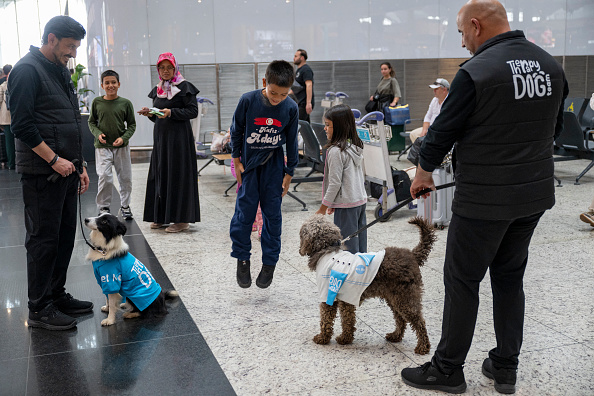 Turquie : des chiens pour détendre les passagers à l'aéroport d'Istanbul