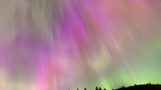 Des aurores boréales spectaculaires après une tempête solaire « extrême »