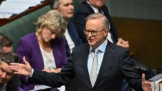 Les réseaux sociaux bientôt interdits aux enfants de moins de 16 ans en Australie ?