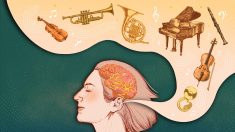 La musique classique agit sur le cerveau