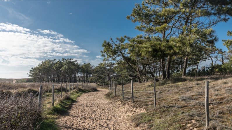 Chemin sablonneux à Brétignolles-sur-Mer. (Photo: Thomas Pajot/Shutterstock)