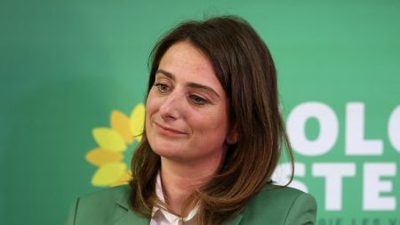 Marine Tondelier réélue sans surprise, dès le premier tour, à la tête des Ecologistes