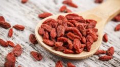 La consommation de plantes médicinales peut améliorer et apaiser la santé intestinale