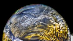 Des photos stupéfiantes capturent la magie des bulles en Antarctique