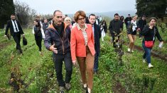 Le gouvernement annonce des mesures face à la colère agricole