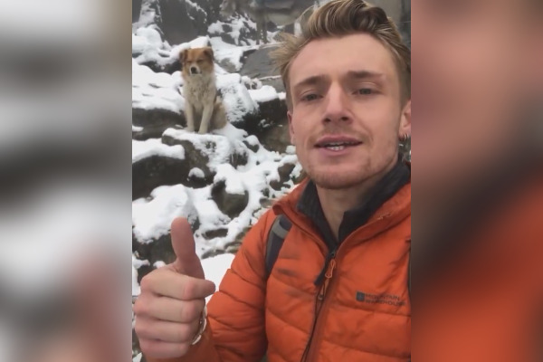 Dans une vidéo postée sur son compte TikTok, le randonneur britannique qui se surnomme « El Güero inglés » a raconté sa rencontre avec un chien errant, alors qu’il était perdu à plus de 4500 m d'altitude dans les montagnes du Pérou. (Capture X @froggyups)
