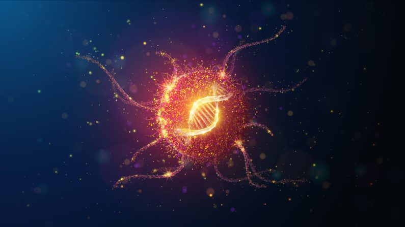 Les scientifiques du monde entier tirent la sonnette d'alarme. (Image : artacet/Shutterstock)