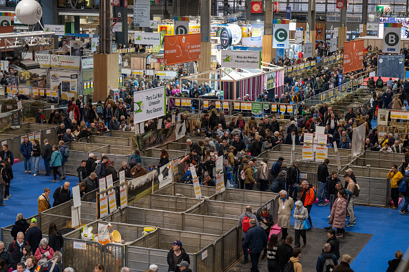 Vue aérienne générale du pavillon de l'élevage au Salon de l'Agriculture au Parc des Expositions à Paris, le 24 février 2025. (FREDERIC MOREAU/Hans Lucas/AFP via Getty Images)
