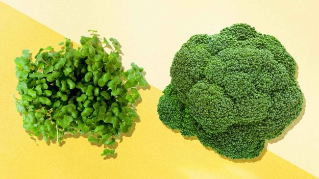 Comment un composé du brocoli est devenu un héros de l’autisme