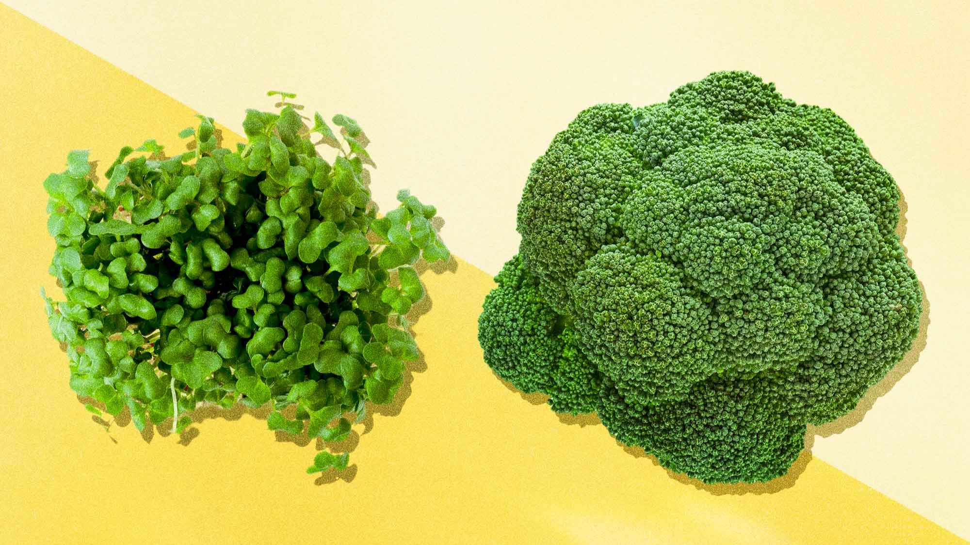 Comment un composé du brocoli est devenu un héros de l'autisme