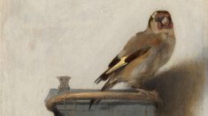 Le triomphe du trompe-l’œil « Le Chardonneret »