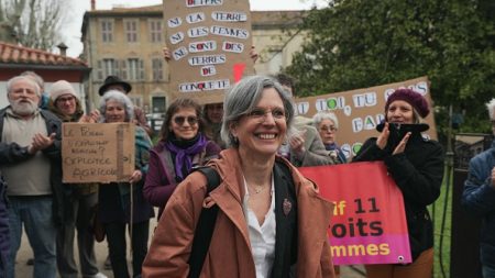 « Va faire la soupe, sal*pe » : pour avoir insulté Sandrine Rousseau, une amende de 1000 euros requise contre un vigneron