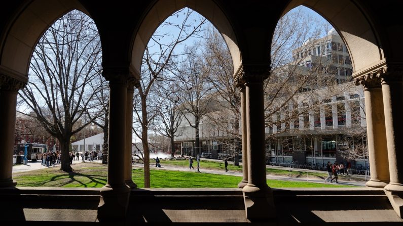 Le Centre scientifique de Harvard Plaza vu depuis Annenberg Hall à l'université de Harvard le 17 avril 2025 à Cambridge, dans le Massachusetts. (Sophie Park/Getty Images)