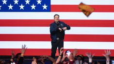 Elon Musk affirme que son rôle au sein du DOGE affecte les actions de Tesla