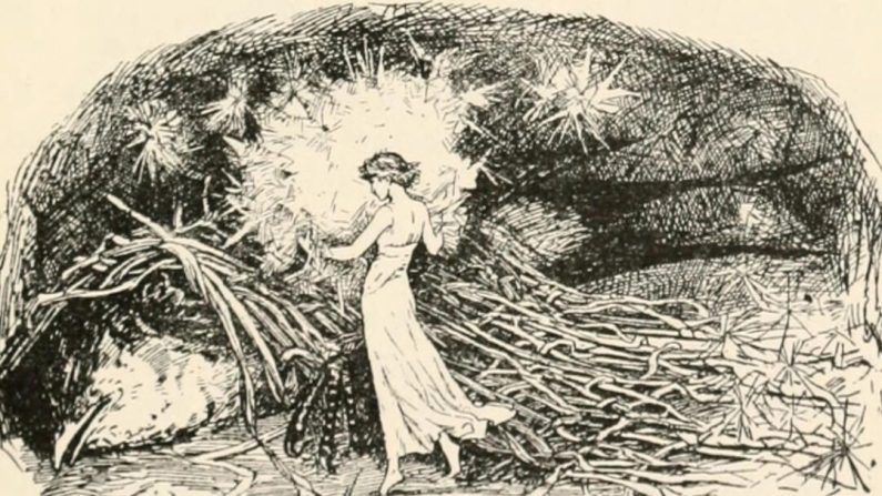 Dans cette illustration de 1906 tirée du « Livre des Fées Jaunes », Poucette s'approche de l'hirondelle blessée. Sa gentillesse envers elle lui permet de se libérer d'un mariage non désiré. (Domaine public)