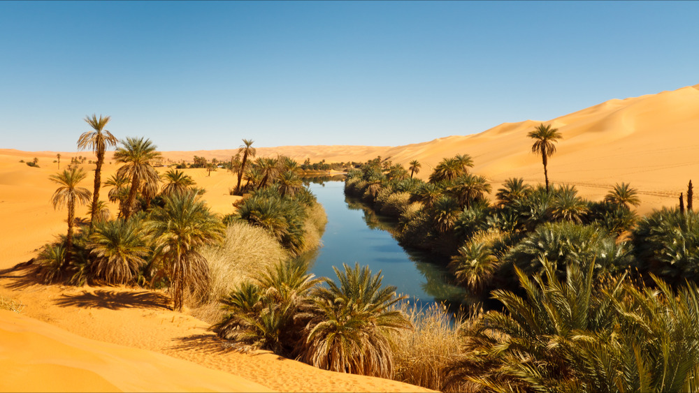 Aucun lien génétique avec les humains actuels : deux momies du Sahara, vieilles de 7000 ans, affolent les archéologues