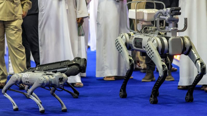 Des unités robotiques en forme de chien de la société chinoise Unitree sont présentées lors d'une démonstration pendant le Sommet mondial de la police 2023 à Dubaï, le 7 mars 2023. (KARIM SAHIB/AFP via Getty Images)