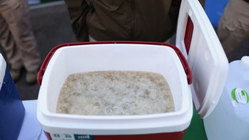 De la méthamphétamine, une drogue de synthèse, saisie par la police, à Santiago au Chili, le 10 janvier 2025. (JAVIER ARAOS/AFP via Getty Images)