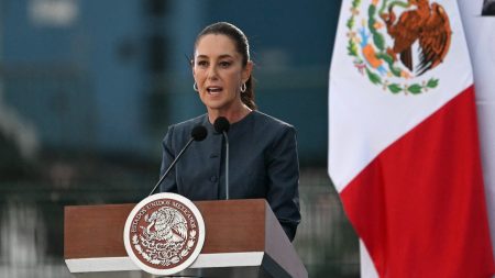 La présidente mexicaine refuse l’offre de Trump de déployer des troupes américaines au Mexique