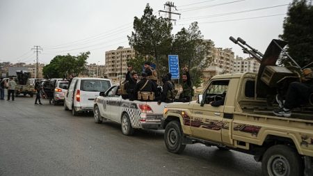 Violences confessionnelles, pouvoir mis en cause, frappes israéliennes… que se passe-t-il en Syrie ?