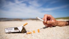 Cigarettes interdites : l’Alliance contre le tabac regrette que les terrasses soient épargnées