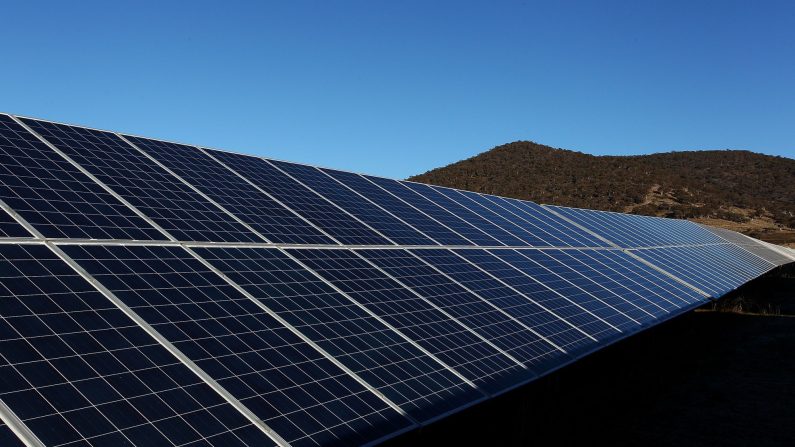 La ferme solaire de Royalla le 28 juin 2016 à Canberra, en Australie. (Lisa Maree Williams/Getty Images)