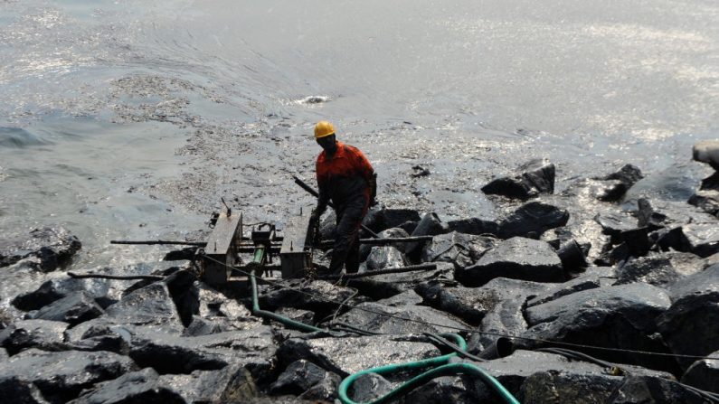 Opération de nettoyage du pétrole qui s'est échoué sur le rivage, à Chennai le 4 février 2017 en Inde. Illustration. (ARUN SANKAR/AFP via Getty Images)