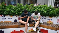 « Personne-rat » : la génération Z chinoise pousse le mode de vie «rester couché» à un niveau supérieur