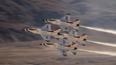 « Air Force Elite : Thunderbirds » : un spectacle aérien éblouissant et audacieux