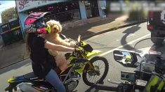 « Je l’ai acheté sur Temu » : une femme verbalisée pour avoir roulé à moto avec son chien attaché à la poitrine