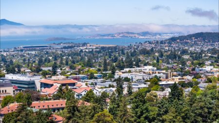 De nombreux oiseaux chutent depuis plusieurs mois dans cette ville californienne et personne ne sait pourquoi