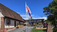 Alsace : un homme de 80 ans retrouvé mort par arme à feu, son petit-fils en garde à vue