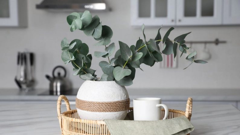 Quelques petits changements et améliorations peuvent préparer votre maison pour la saison estivale. (Liudmila Chernetska/Getty Images/iStockphoto/TCA)