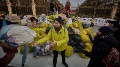 Shein, Temu… que contient le texte de loi anti-fast fashion examiné au Sénat ?