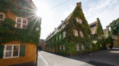 Retour au Moyen Âge : des loyers symboliques pour des logements sociaux d’un autre temps