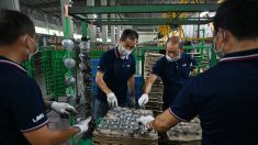 En Chine, « nous, les hommes d’affaires taïwanais, nous avons peur »