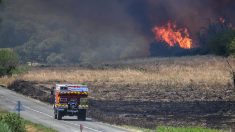 Réactivation du feu, suspect interpellé, dégâts… ce que l’on sait de l’incendie qui a déjà détruit 400 ha dans l’Aude