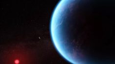 Débat autour de K2-18b : existe-t-il une forme de vie qui nous est inconnue ?