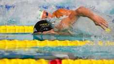 Championnats de France de natation : Maxime Grousset remporte le 50 m nage libre